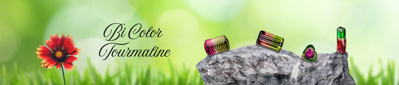 Bi Color Tourmaline